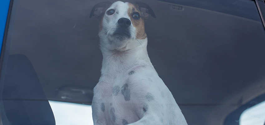 Car Lockout Solutions in La Mirada, California